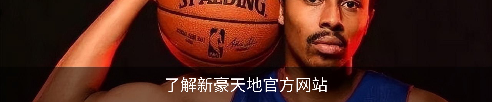 了解新豪天地官方网站