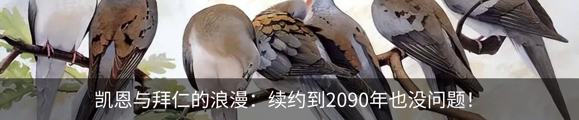 最新动态