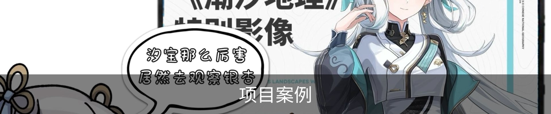 项目案例